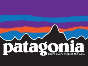 logo von patagonia torres del paine